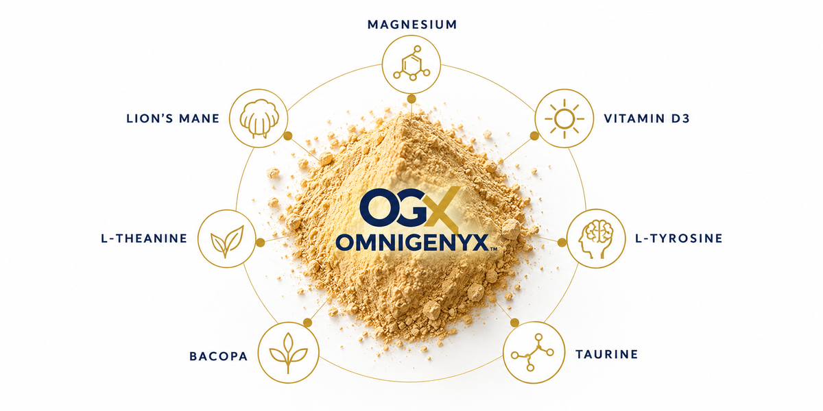 OGX powder surrounded by key ingredients: magnesium, vitamin D3, L-tyrosine, taurine, bacopa, L-theanine and lion's mane